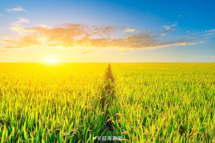 �������ǲ���(�й���)�ٷ���վ