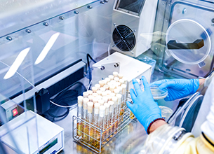 �������ǲ���(�й���)�ٷ���վ